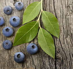 Image showing Fresh Bilberries