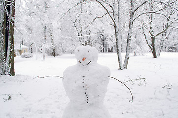 Image showing Snow man hands carrot nose trees hoar frost park 