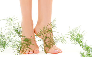 Image showing female feet with green plant