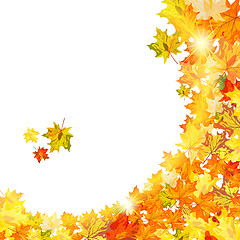 Image showing Autumn maple leaves 