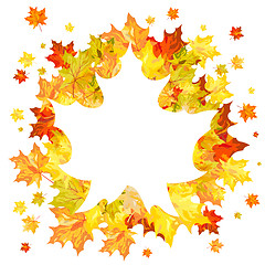 Image showing Autumn maple leaves 