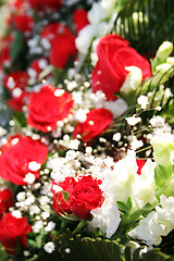 Image showing Red roses