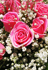 Image showing Pretty pink roses