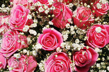 Image showing Pink and pretty roses