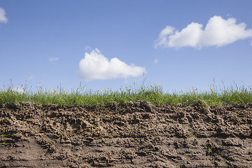Image showing Earth grass and sky