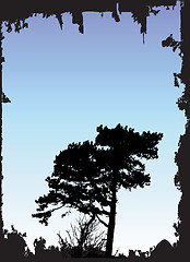 Image showing Tree Silhouette