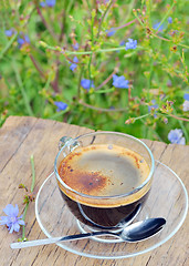 Image showing cup of chicory hot drink