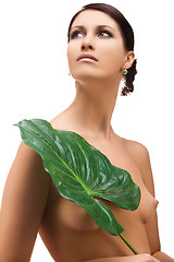 Image showing woman with green leaf