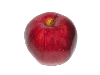 Image showing apple