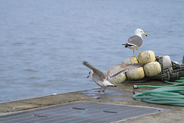 Image showing Harbour abstract scene