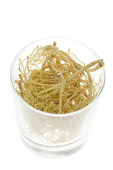 Image showing Traditional Chinese Medicine - Ginseng roots (Panax ginseng)

