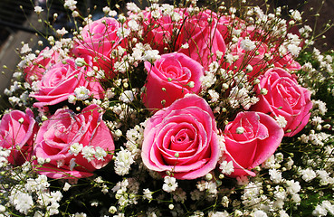 Image showing Pink roses