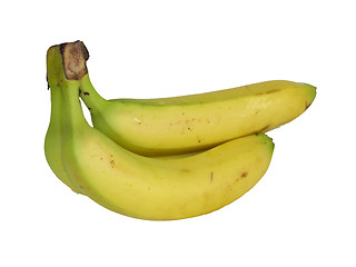 Image showing bananas