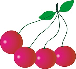 Image showing cherry