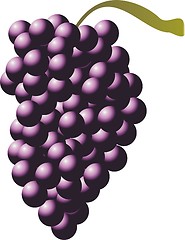 Image showing grape