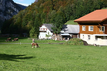Image showing Swiss Farm II