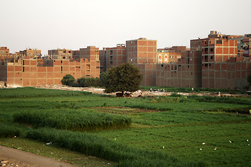 Image showing slums in Monieb, Cairo