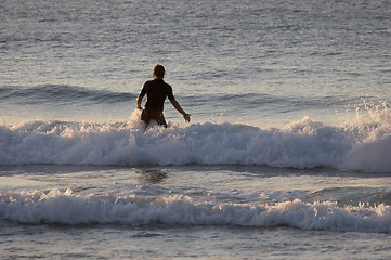 Image showing Into The Surf