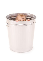 Image showing baby in trash can