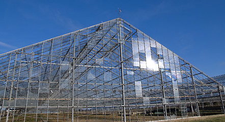 Image showing Abandoned industrial greenhouse