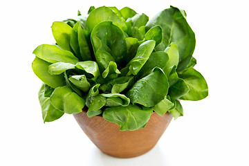 Image showing Spinach