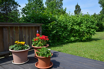 Image showing Flowerpots in garden