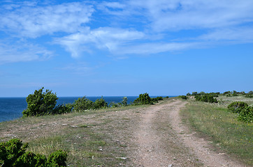 Image showing Tracks along coast
