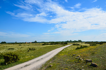 Image showing Summer landscape