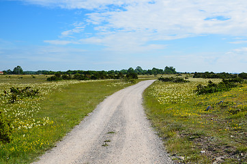 Image showing Winding dirt  road