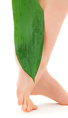 Image showing female legs with green leaf