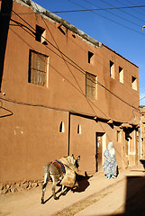 Image showing Woman with donkey on the street