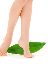 Image showing female legs with green leaf