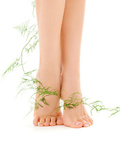 Image showing female legs with green plant