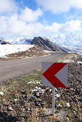 Image showing Roan dign on the mountain road