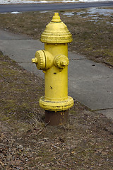 Image showing Fire Hydrant