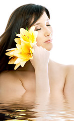 Image showing brunette with yellow lily flowers in water