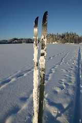 Image showing sticky ski