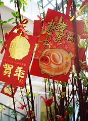 Image showing Cards for Year of the Pig - Chinese New Year