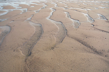 Image showing Muddy beach at ebb tide