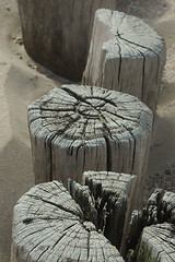 Image showing weathered pickets