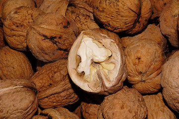 Image showing walnuts