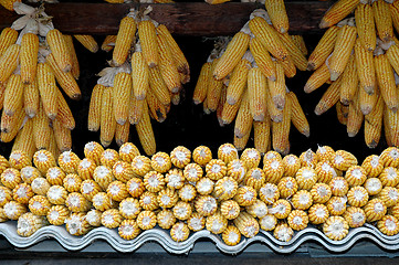 Image showing corncobs hanging