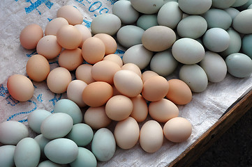 Image showing Colored eggs