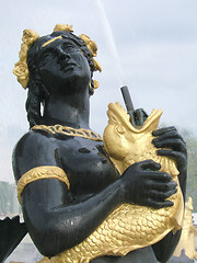 Image showing Black and gold statue