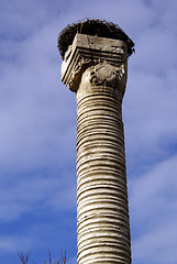 Image showing Column with jack of stork