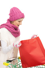 Image showing shopper