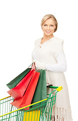 Image showing shopper 