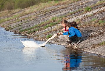 Image showing Children feeding swan