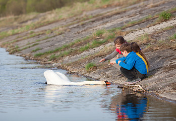 Image showing Children feeding swan
