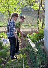 Image showing Watering